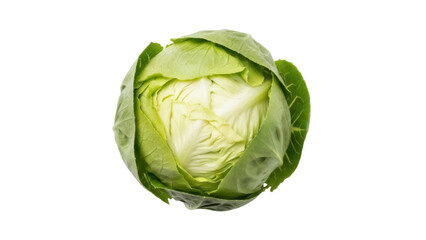 Obraz premium Isolated head of crisphead lettuce, a popular variety of iceberg, commonly used in salads
