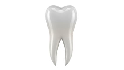 Isolated 3D molar tooth model, dentistry and oral hygiene concept, healthy teeth, tooth care
