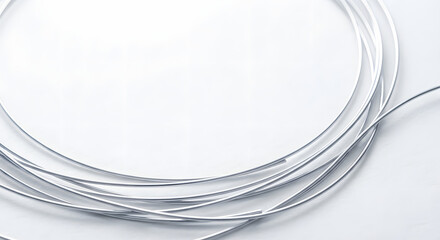 Obraz premium Abstract silver metallic circular wire sculptures on white background for modern minimalistic design