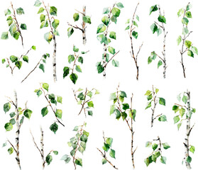 Birch tree branches watercolor set