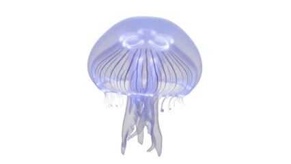 Isolated glowing jellyfish, deep-sea creature, delicate tentacles, translucent and ethereal © Agata