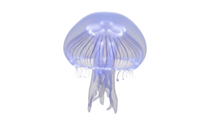 Isolated glowing jellyfish, deep-sea creature, delicate tentacles, translucent and ethereal