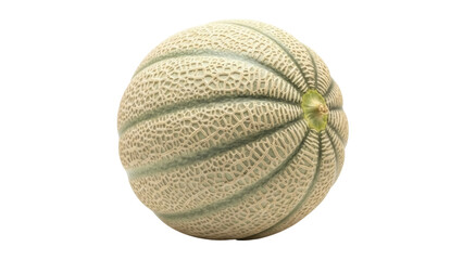 Isolated view of a delicious Cantaloupe melon, a sweet dessert fruit rich in nutrients