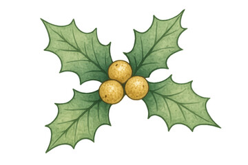 Holly sprig with golden berries, watercolor christmas plant illustration, winter holiday decor element, transparent background