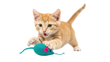 Isolated Orange Kitten Playing with Toy Mouse Against Solid Background, Expressive Face © Agata