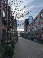 Residential Street With Blossoming Trees in Amsterdam.
Quiet residential street with blooming trees, brick buildings and soft evening light.