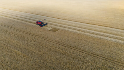 a combine harvester in a field of yellow wheat, view from a drone