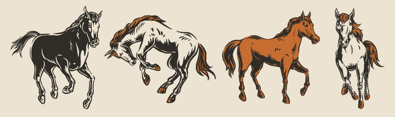 Horses in diverse styles © DGIM studio