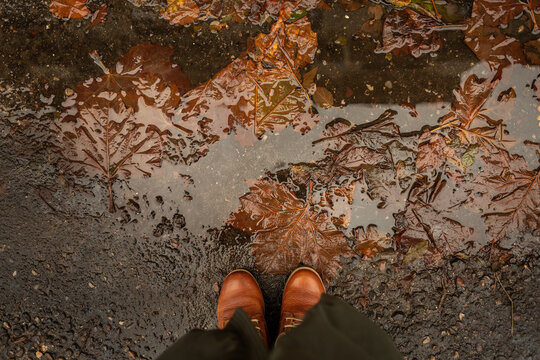 Feuilles brunes au sol dans une flaque d'eau apr&egrave;s la pluie, reflets dans l'eau, bottines brunes en cuir et bas d'un manteau vert fonc&eacute;, vue du dessus en plan rapproch&eacute;, saison d'hiver