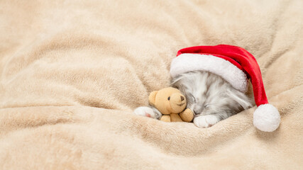 Tiny maine coon kitten wearing red santa's hat sleeps with toy bear under warm blanket on a bed at home. Top down view. Empty space for text
