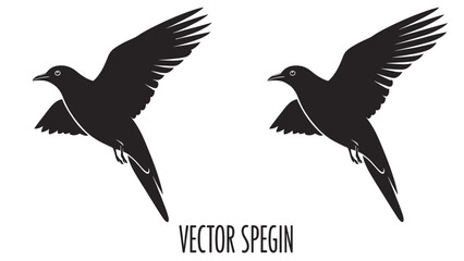 Obraz premium Black Silhouette of Flying Birds.