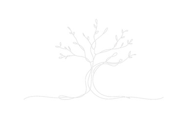 Minimalist single line tree isolated on a transparent background 1