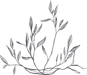 The design concept of a Royal Crown is depicted as a simple king crown outline through a modern continuous line drawing illustration