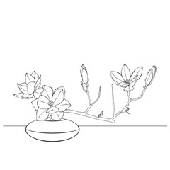 Minimalist magnolia branch with flowers, elegant botanical line art illustration