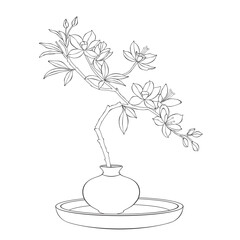 Elegant flowering branch in vase, minimalist botanical line art illustration