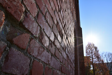 ノリタケの森のクリスマスと紅葉