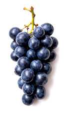 grapes on a white background