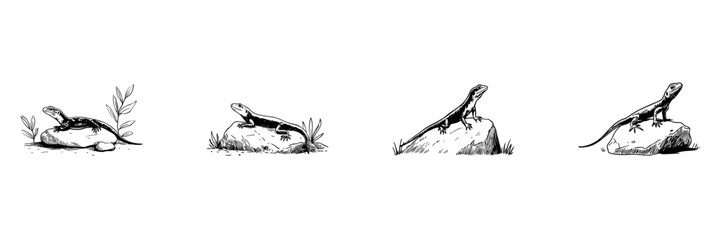 Lizard On Rock Doodle Sketch Set. Reptile Sunbathing And Natural Habitat Illustration In Hand Drawn Style Collection. Wildlife And Nature Observation. Isolated Vector Illustration