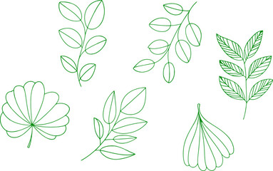 Green Leaf Outlines Botanical Illustration