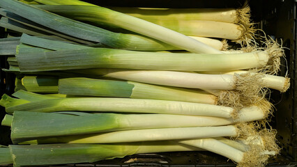 Fresh leeks in a vegetable aisle at the supermarket