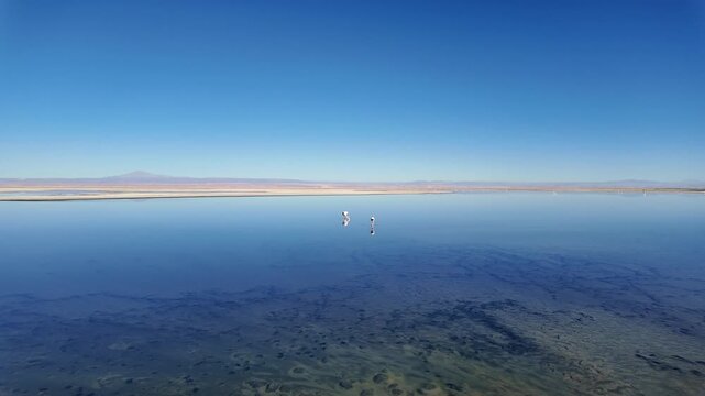 San Pedro de Atacama, Chile: Panoramic footage of Chaxa Lake of Salar de Atacama, Chile with desert and mountain in the background