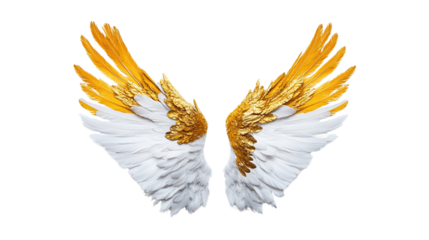 Majestic golden and white wings symbolizing freedom and ethereal beauty against black backdrop