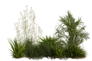 A diverse cluster of natural green and tan vegetation, featuring tall feathery grasses, broad-leafed bushes, and spiky ground cover