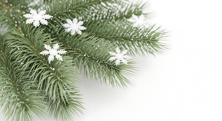 Fir tree branch with small white snowflake decoration isolated on white background