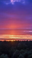 Obraz premium The sunset view over dense forest 2