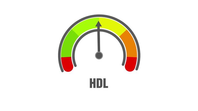 Animated HDL (good cholesterol) level meter moving from low level to normal level, ideal for concepts related to heart health, lipid balance, and medical monitoring