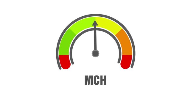 Animated MCH (mean corpuscular hemoglobin) level meter moving from low level to normal level, ideal for concepts related to blood health, anemia management, and medical monitoring