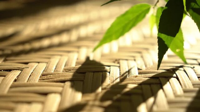 Woven surface with green leaves casting shadows, close up