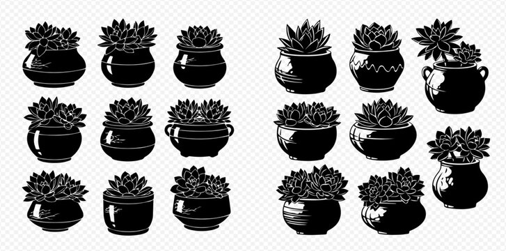 Collection of various succulent plants in different decorative pots, black silhouettes on transparent background.