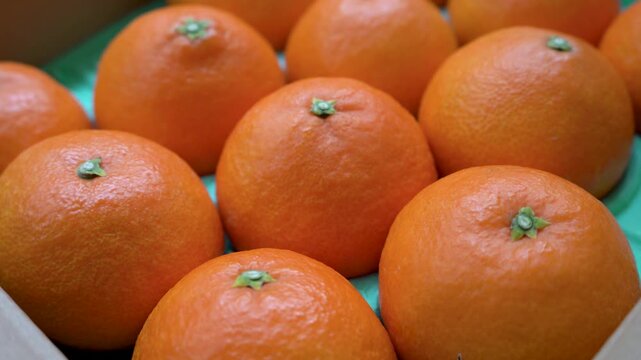 日本の産地直送箱入りみかん；横長；ビデオ