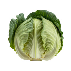 Fresh Green Cabbage Vegetable Isolated on White Background