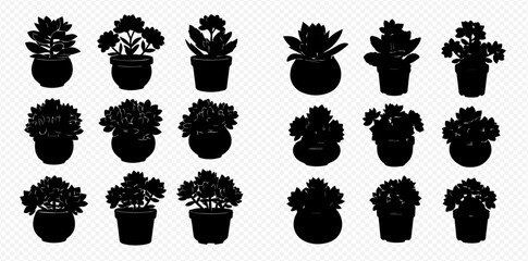 Set of potted plant silhouettes, different shapes and sizes, isolated on transparent background. © Akun