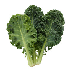 Fresh Green Kale Leaves Isolated on White Background