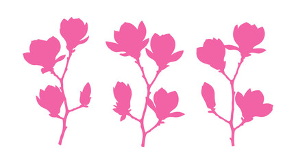 A grouping of magnolia twigs in bloom. Flowers in various colors set on a white background.

