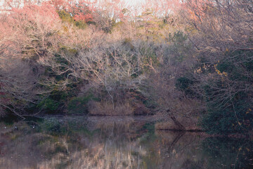 兵庫県・日本で一番ため池の多い県、晩秋