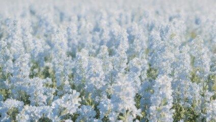 Dreamy ethereal landscape of blooming light blue flowers.