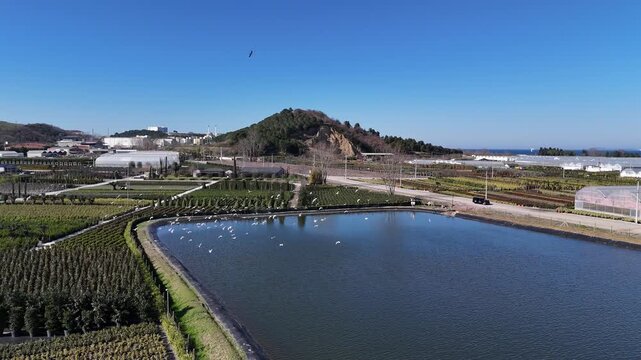 Footage of an artificial lake used for irrigating agricultural crops. Represents water management, irrigation systems, farming sustainability, and agricultural infrastructure.