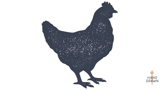 Chicken, farm hen sketch. Hand drawn. Vintage retro print hen, black drawing chicken, engrave old school style. Sketch artwork silhouette rooster, chicken, hen, white background. Vector Illustration