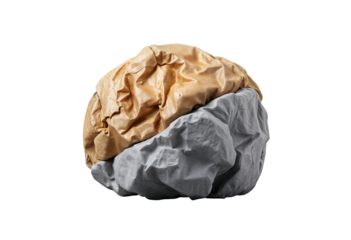 Conceptual Crumpled Brain Structure