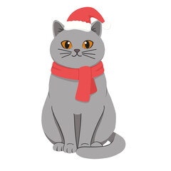 Cute Gray British Shorthair Cat Wearing Santa Hat and Red Scarf, Vector Illustration for Christmas Holidays, Greeting Cards, and Children's Textile Design