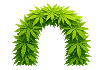 Cannabis leaves forming an arch frame, creating a natural border of green hemp plants with a clear transparent background