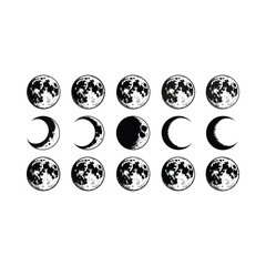 Obraz premium Black and white illustration depicting all eight phases of the lunar cycle