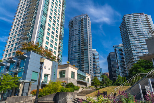 Modern skyscrapers rising above green park in vancouver, british columbia