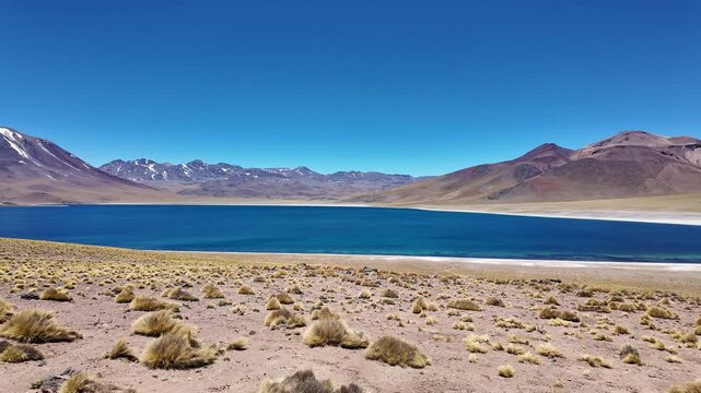 San Pedro de Atacama, Chile: Panorama footage of Lagunas Miscanti,  blue water lake near San Pedro de Atacama, Chile with Mi&ntilde;iques volcano in the background in south America on the Altiplano