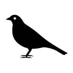Obraz premium Black silhouette of a small bird standing on its feet in profile