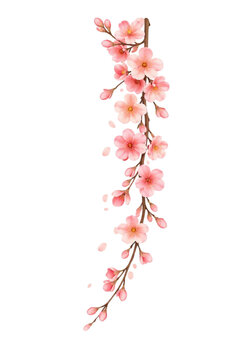 Vertical Pink Peach Blossom Branch Hoa Dao Transparent Background
